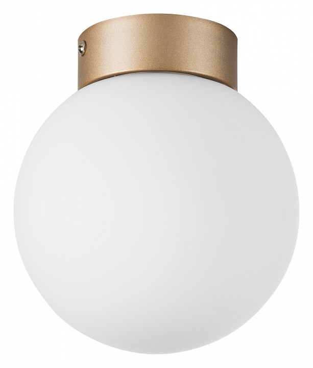 Накладной светильник lightstar globo 812013