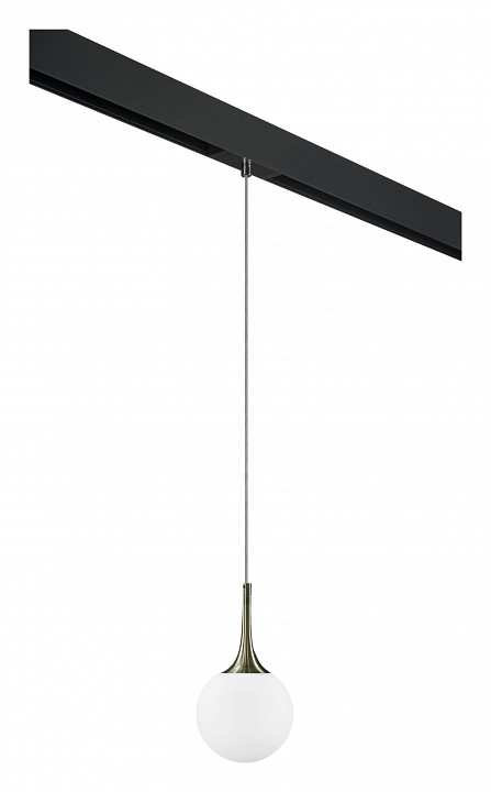 Подвесной светильник lightstar globo pro813011