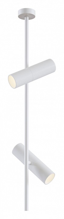 Светильник на штанге maytoni technical elti c021cl-02w