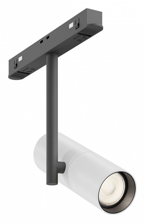 Светильник на штанге maytoni technical elti tr005-2-12w3k-bw