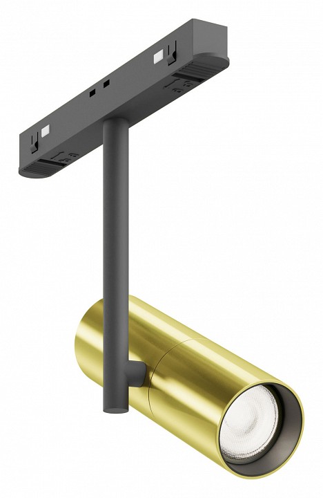 Светильник на штанге maytoni technical elti tr005-2-12w4k-bbs