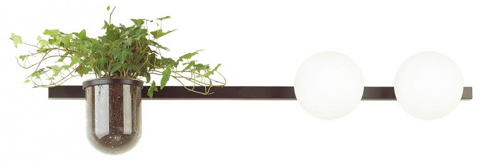 Бра odeon light flower 4681/2w