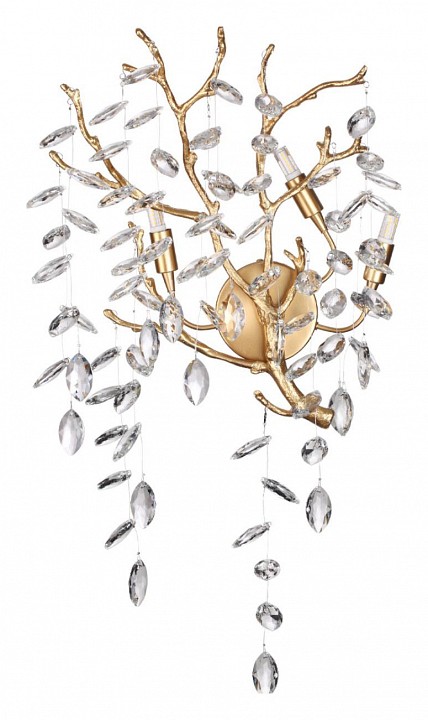 Бра odeon light delica 4969/3w