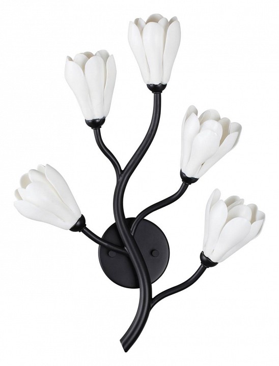 Бра odeon light gardi 5090/5w