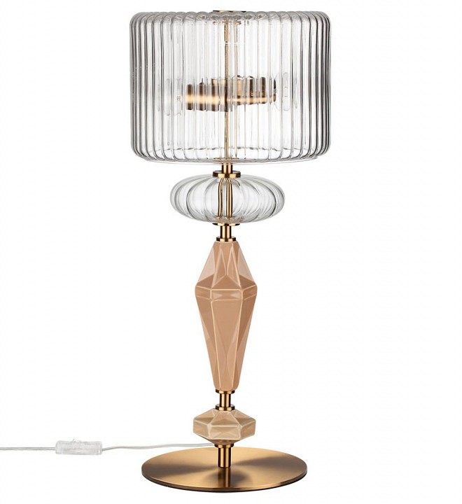 Настольная лампа декоративная odeon light terra 5414/2t