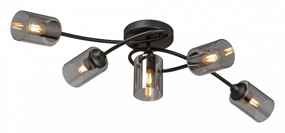 Потолочная люстра vitaluce v2048 v2048-1/5pl