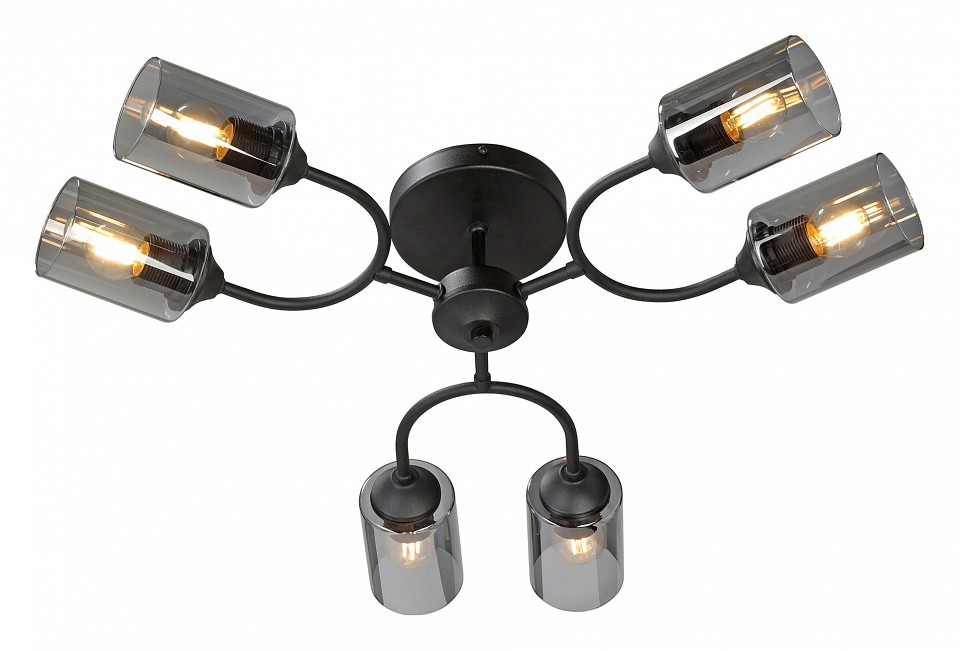 Потолочная люстра vitaluce v2823 v2823-1/6pl