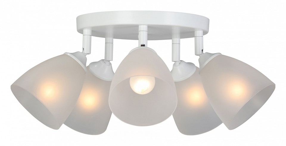 Потолочная люстра vitaluce v4355 v4355-0/5pl
