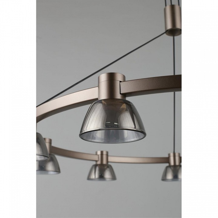 Подвесная люстра aployt rezeda apl.788.03.09