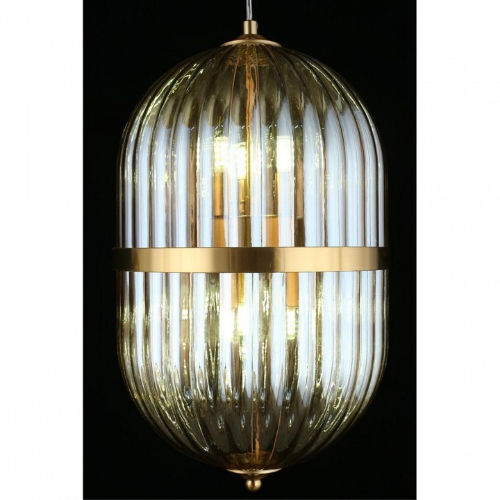 Подвесной светильник aployt ludovica apl.860.06.30