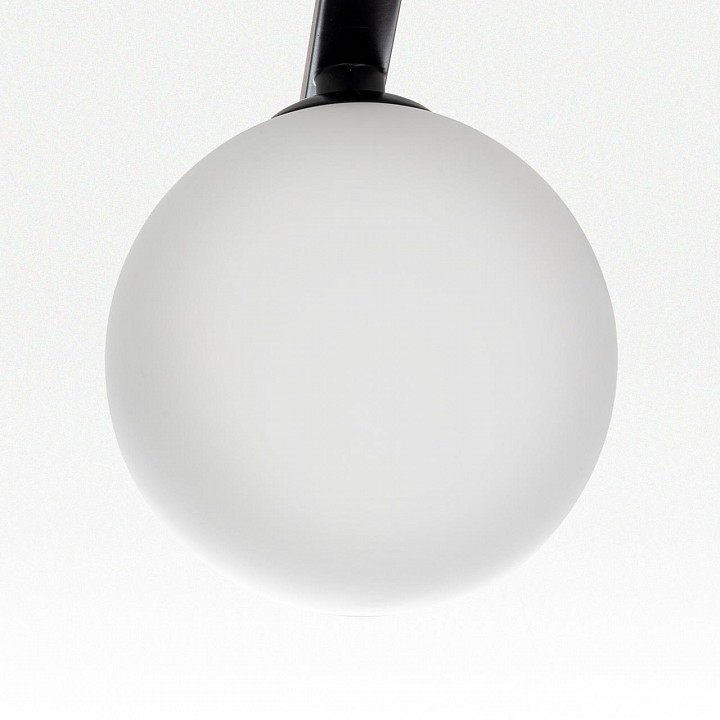 Потолочная люстра citilux glob cl209261