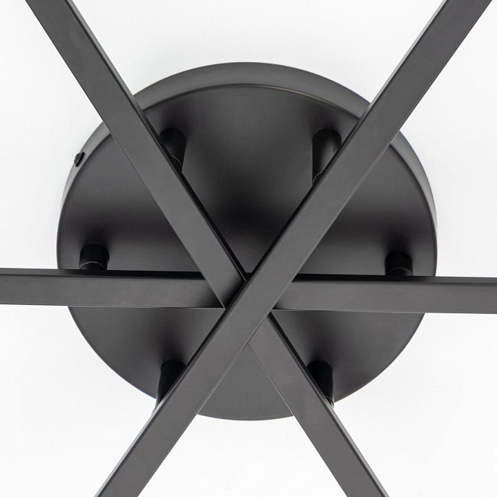 Потолочная люстра citilux glob cl209291