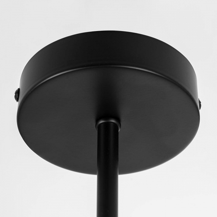 Люстра на штанге citilux fisher cl218163