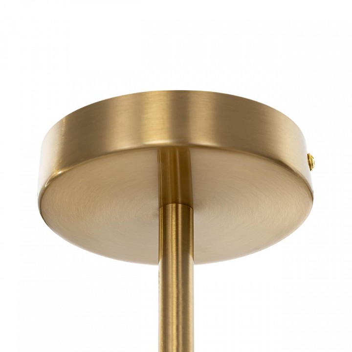 Люстра на штанге citilux ronny cl242163