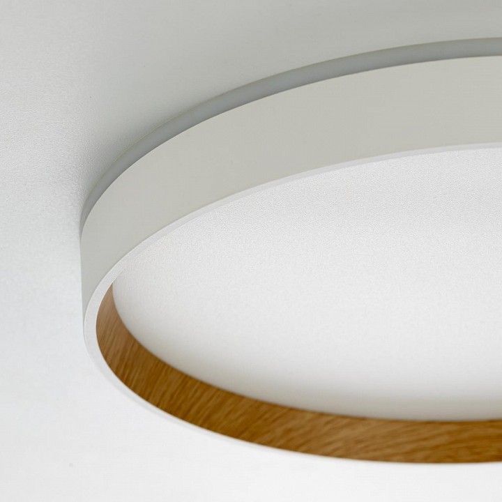 Накладной светильник citilux etalon cl750320r