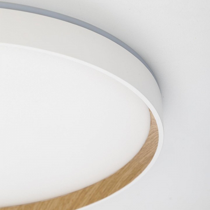 Накладной светильник citilux etalon cl750400r