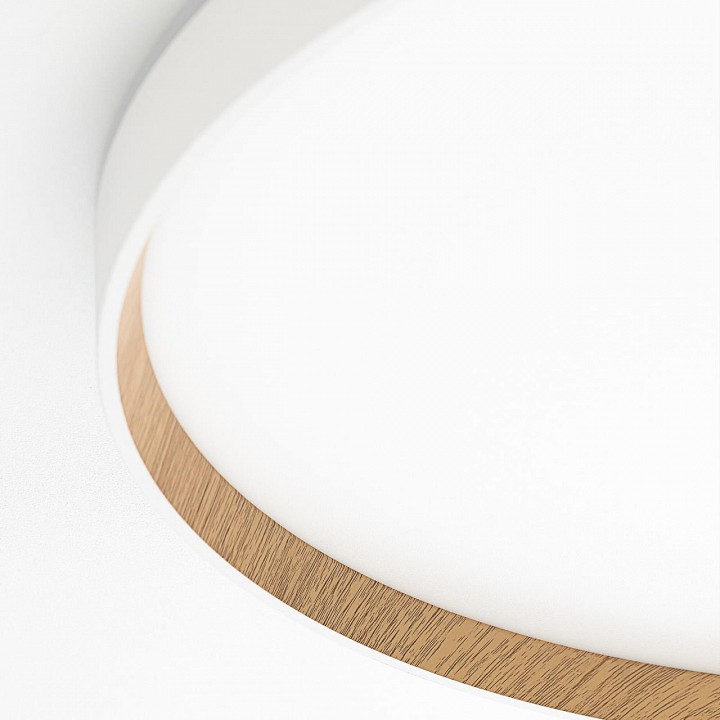 Накладной светильник citilux etalon cl750500r