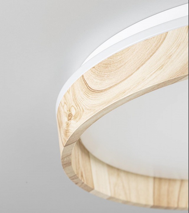 Накладной светильник citilux enzo cl753352g