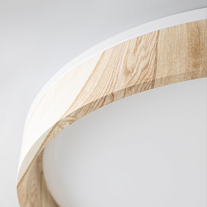 Накладной светильник citilux enzo cl753452g