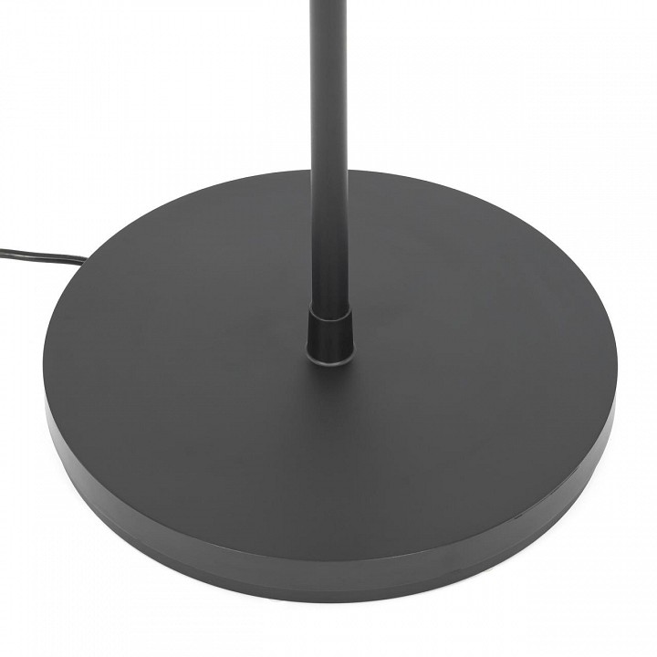 Торшер citilux loong cl810031