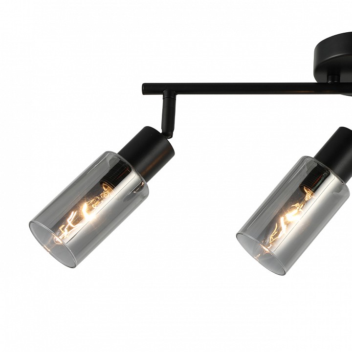 Спот escada sector 10172/3a chrome