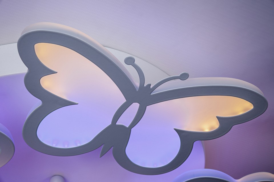 Накладной светильник escada butterfly 10205/5led