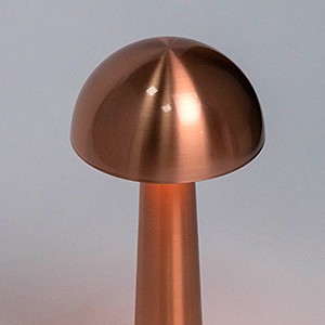 Настольная лампа декоративная escada evo 10257/l led