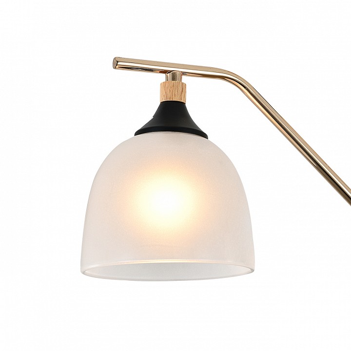 Подвесная люстра escada actinidia 2123/3p