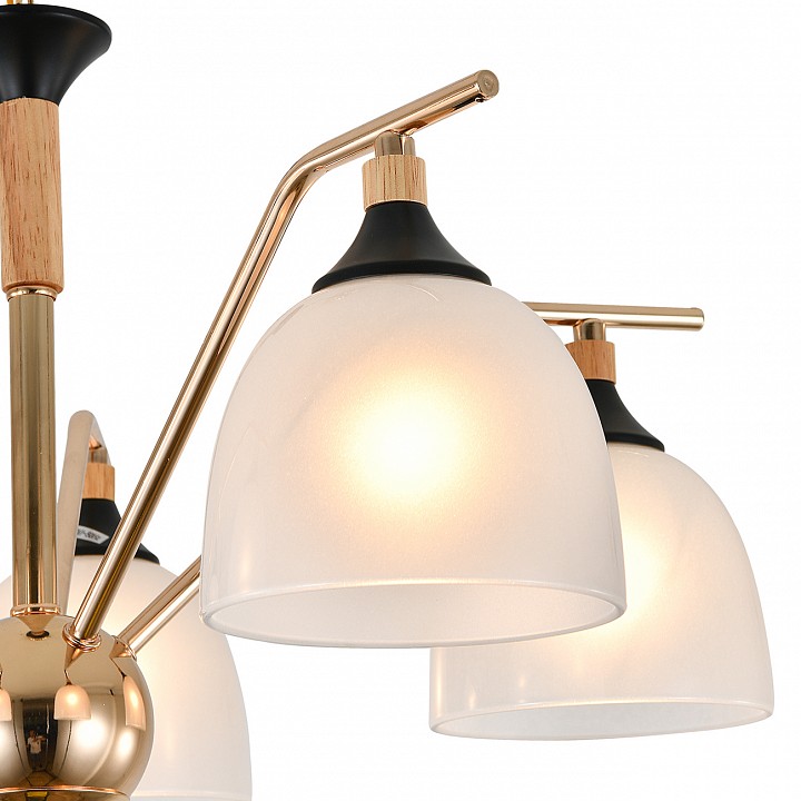 Подвесная люстра escada actinidia 2123/5p