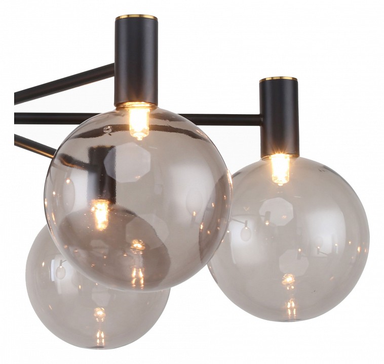 Люстра на штанге favourite eternity 2766-6p