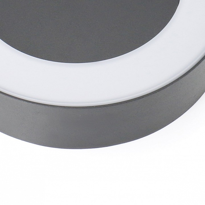 Накладной светильник favourite washer 2865-1w