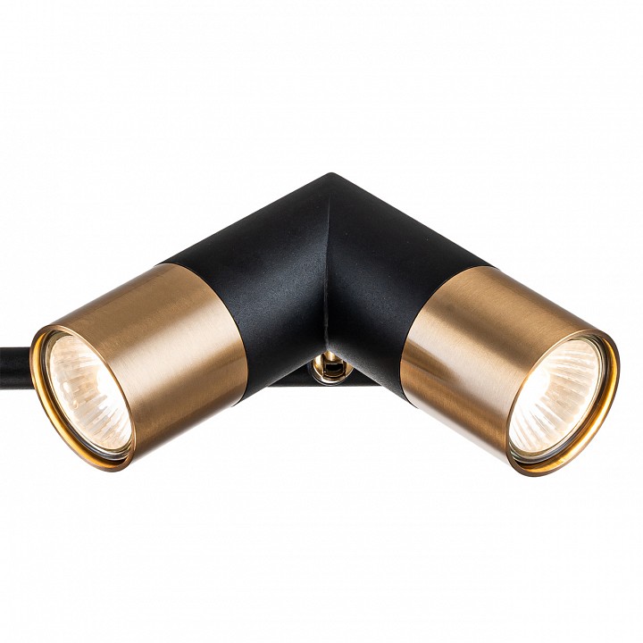 Люстра на штанге indigo doppio 11036/6r black