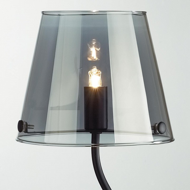Настольная лампа декоративная lumion smoky 6570/1t