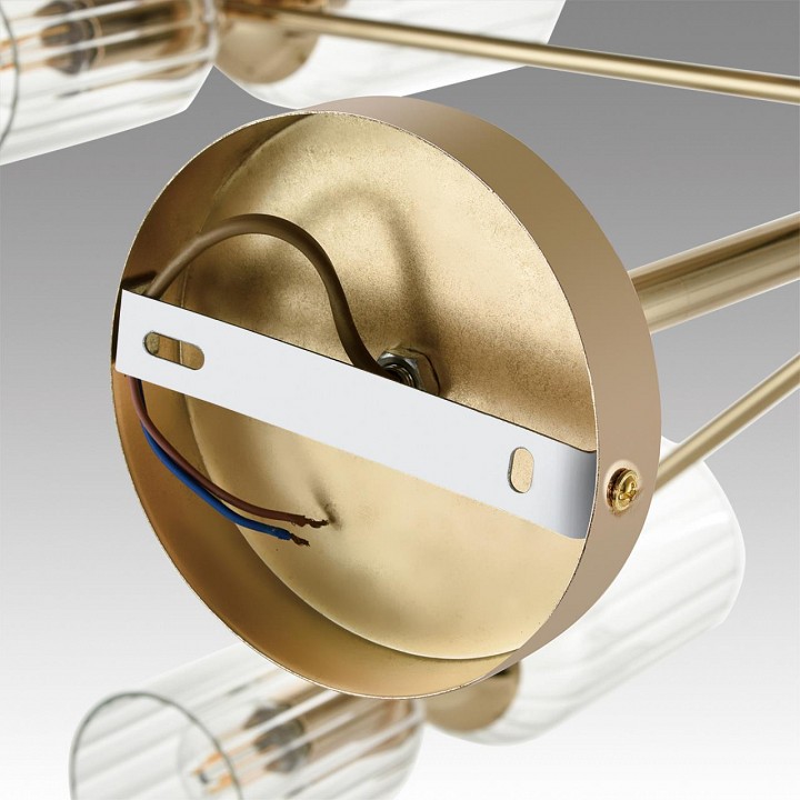 Люстра на штанге lumion kassia 6586/16