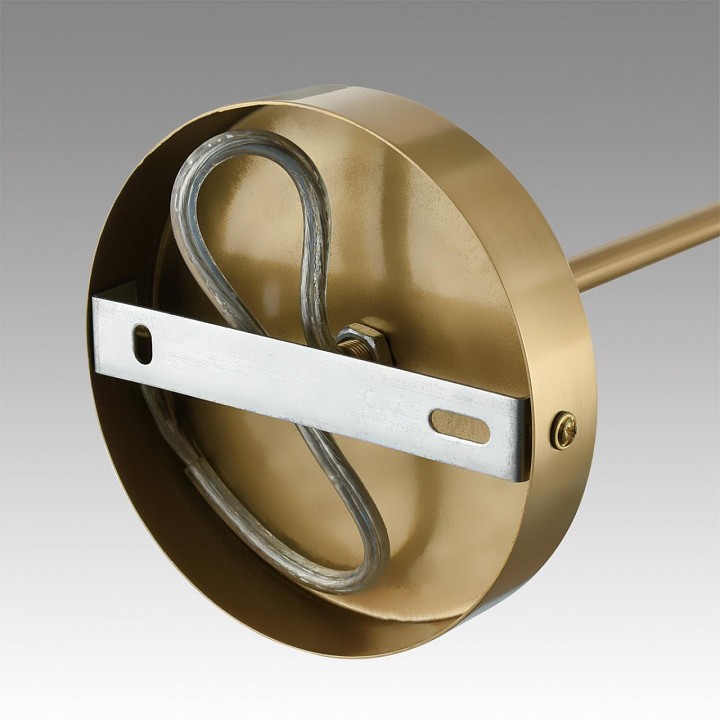 Люстра на штанге lumion anri 6590/5