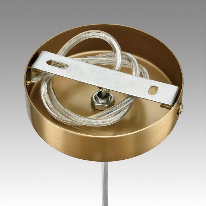 Подвесной светильник lumion jane 6593/1