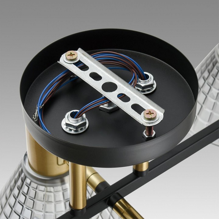 Люстра на штанге lumion anriya 8044/6c