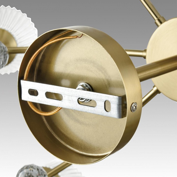 Люстра на штанге lumion aurica 8046/6c