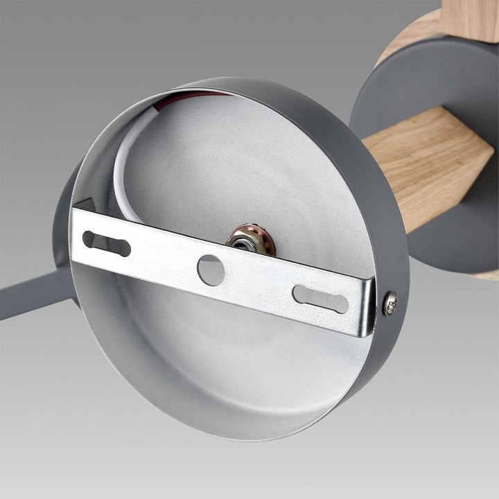 Люстра на штанге lumion colange 8096/6c