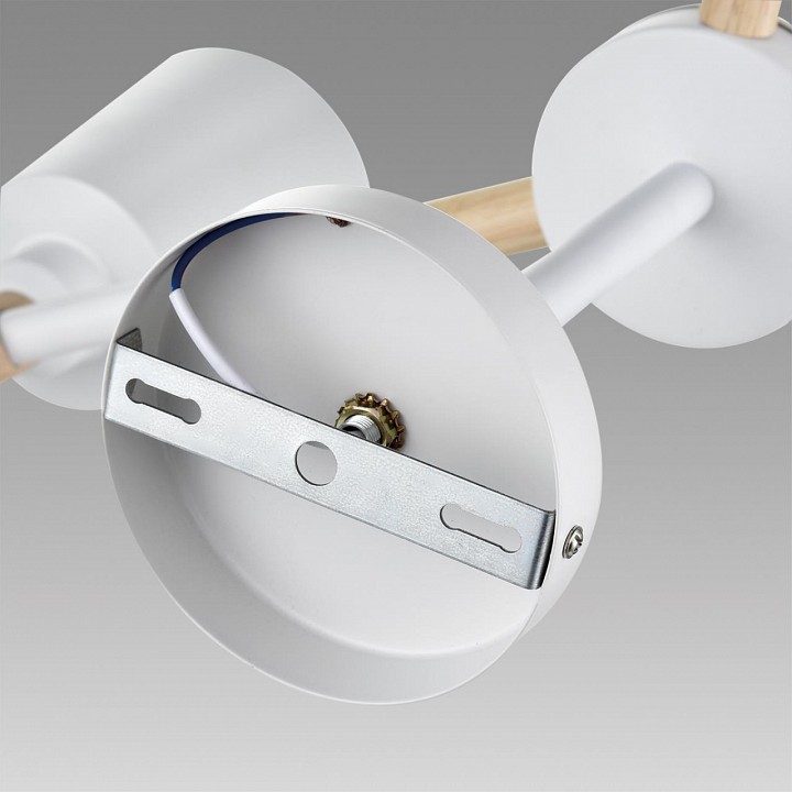 Люстра на штанге lumion rosalina 8097/3c