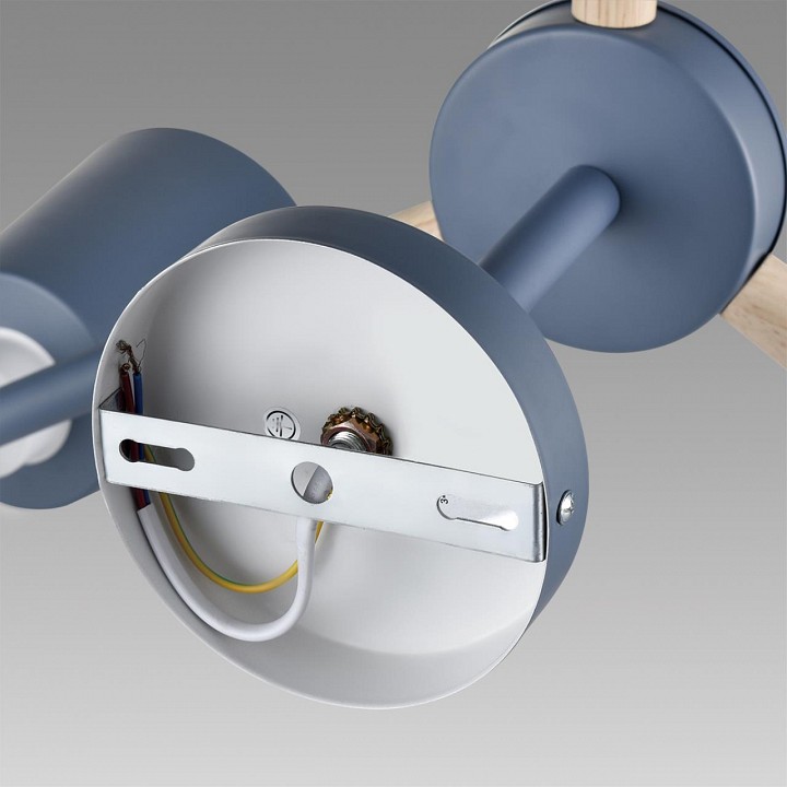 Люстра на штанге lumion rosalina 8098/6c