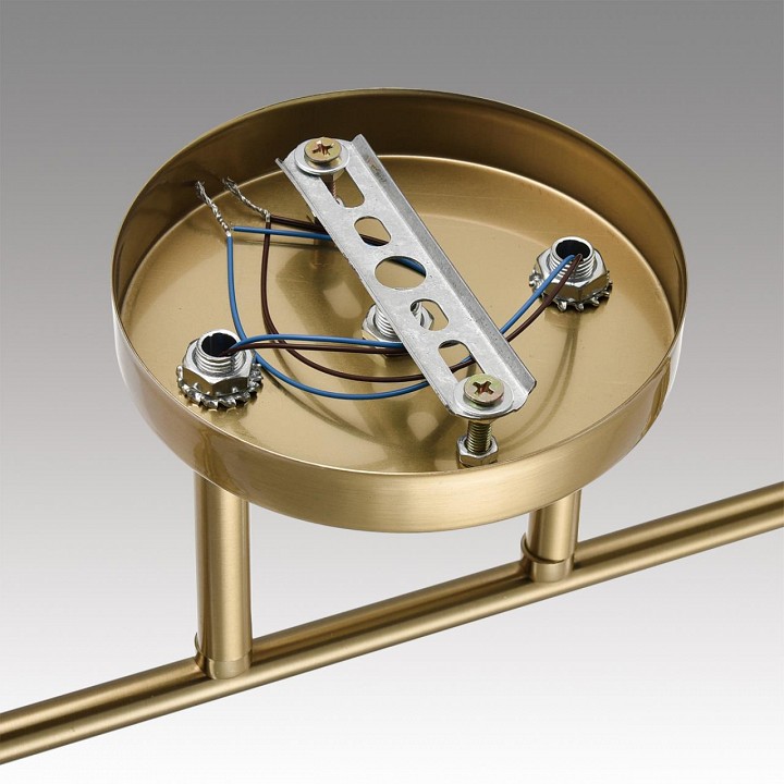 Светильник на штанге lumion vivian 8188/2c