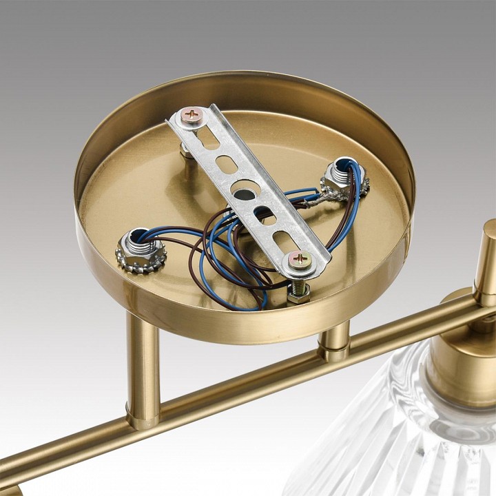 Светильник на штанге lumion vivian 8188/4c