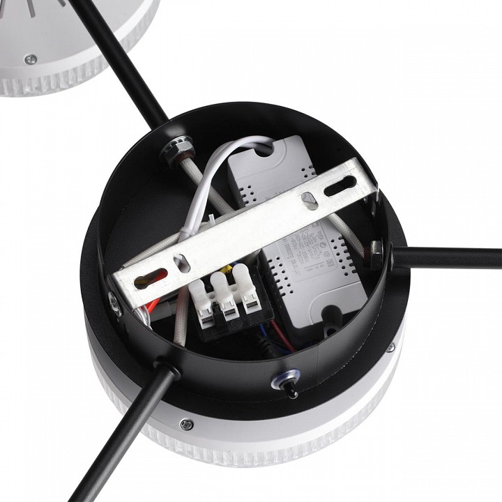 Потолочная люстра lumion didana 8236/4cl