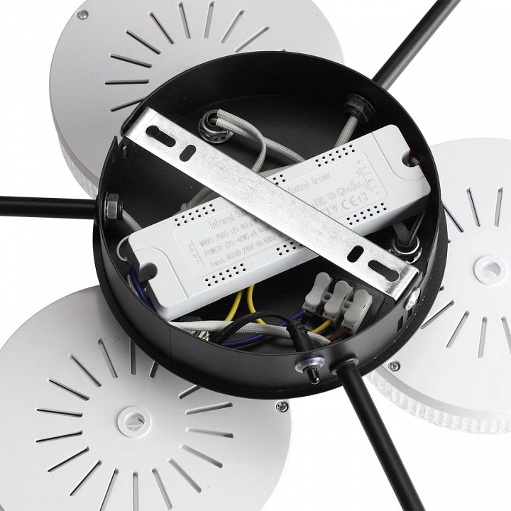 Потолочная люстра lumion didana 8236/6cl