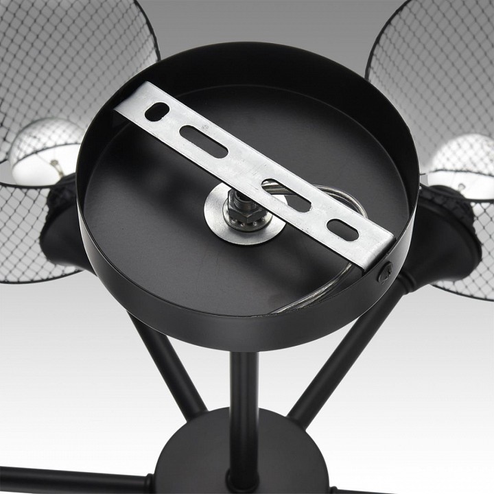 Люстра на штанге lumion tidina 8238/6c