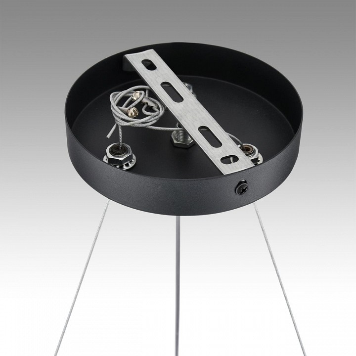 Подвесная люстра lumion luazana 8242/6