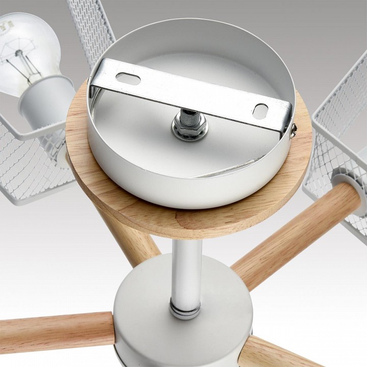 Люстра на штанге lumion irma 8246/5c