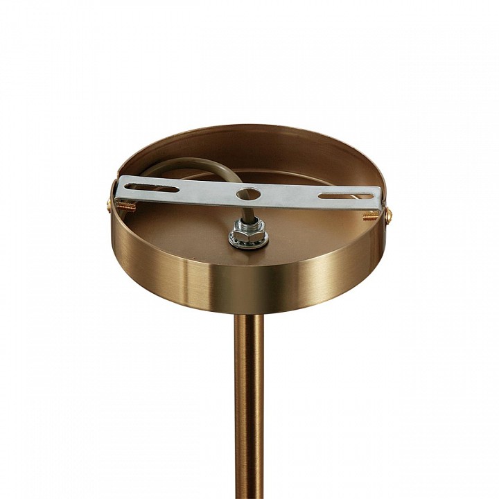 Люстра на штанге lumion carmela 8278/9