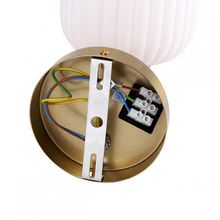 Бра lumion alegra 8334/1w